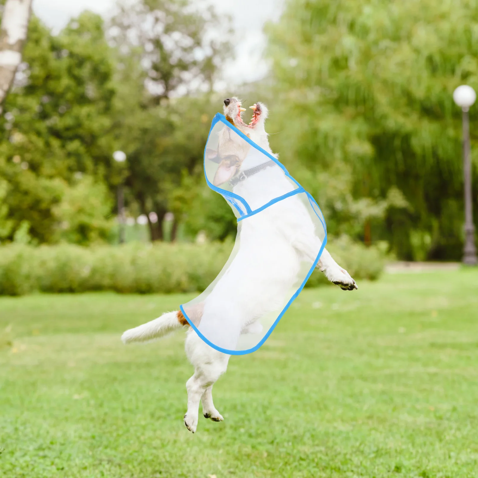 

Dog Clothes for Small Dogs Jackets Clear Pet Raincoat Coats Medium Hood Waterproof