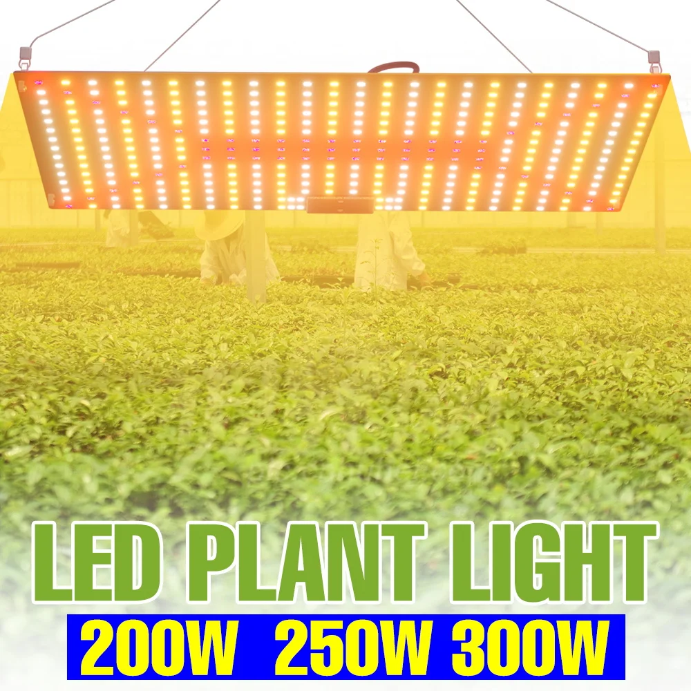 

300W LED Full Spectrum Grow Lights Quantum Board Plants Fill Lamp Greenhouse Hydroponic Vegs Succulents Cultivation US/EU Plug