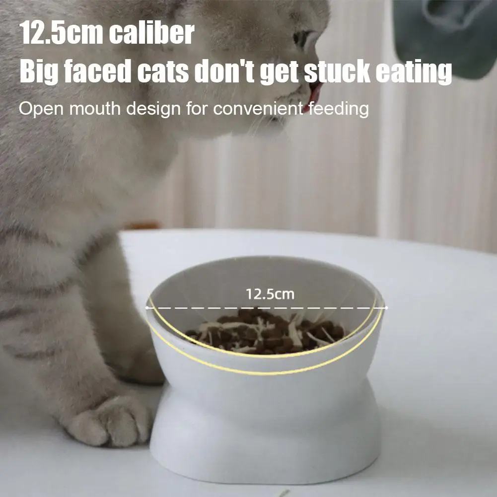 Elevated Cat Bowls Plastic Raised Cat Bowl 15 Degrees Tilted Raised Pet Food And Water Bowl Cute Neck Protection & Anti Rollover