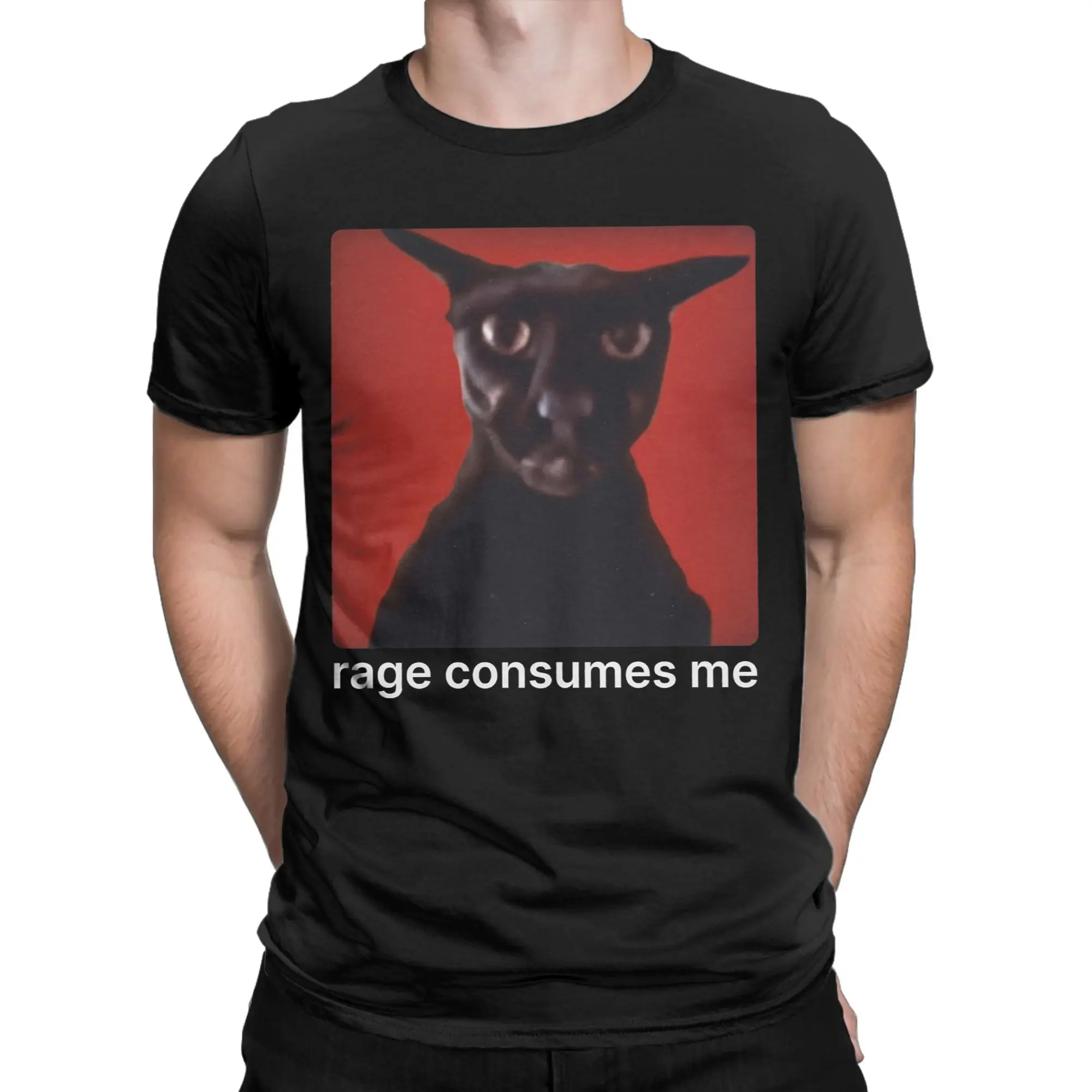 Vintage Rage Consumes Me Evil Larry Cat Meme T-Shirts for Men 100% Cotton T Shirt  Short Sleeve Tee Shirt Summer Clothing