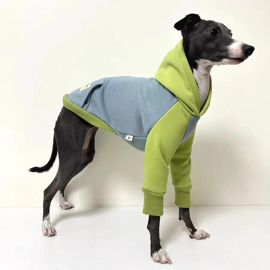 Thickened Hooded Sweatshirt for Pet, Color Block, Warm Greyhound Whippet, Large Size Dog Clothes, Winter