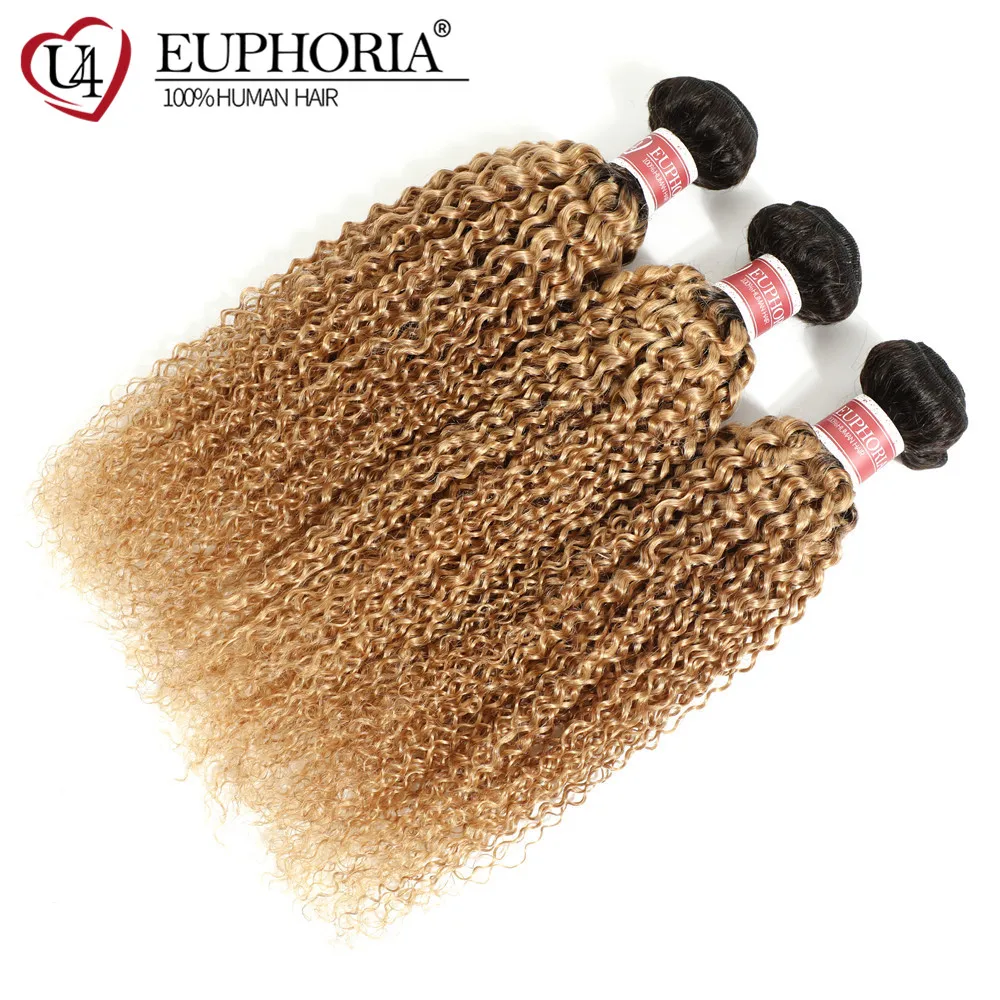 Ombre Blonde 27 Customized Kinky Curly Hair Bundles Brazilian Human Hair 1/3 Pcs 1B Brown Remy Curly Hair Weaving Bundles EUPHOR