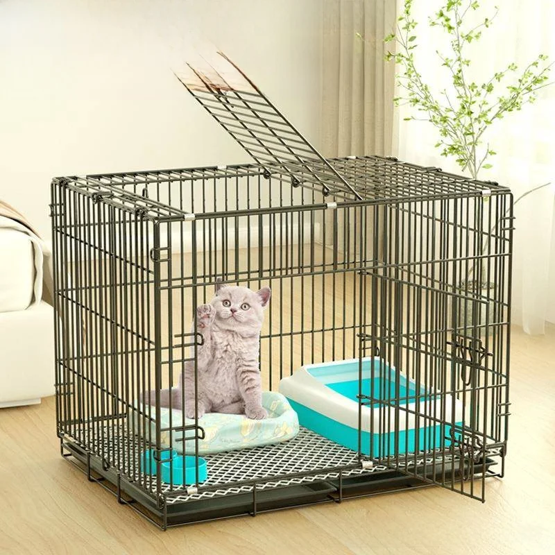 

Indoor Cage Large Free Space No Occupation Toilet Included Carrier Simple Assembly Steel Frame for Medium Cats