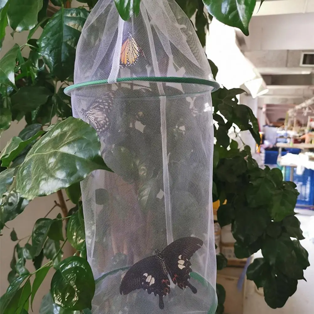 Mesh Butterfly Cage Handheld Insect Mesh Cage DIY Greenhouse Box Plant Net Cloth Butterfly Science Education Experiment Cage