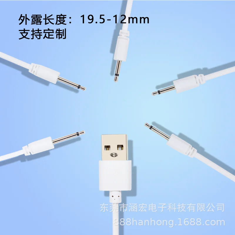 الهزاز USB كابل شحن للمنتجات الجنسية هزاز AV دسار المهبل تدليك الكرة الشرج الجنس لعب USB DC2.5