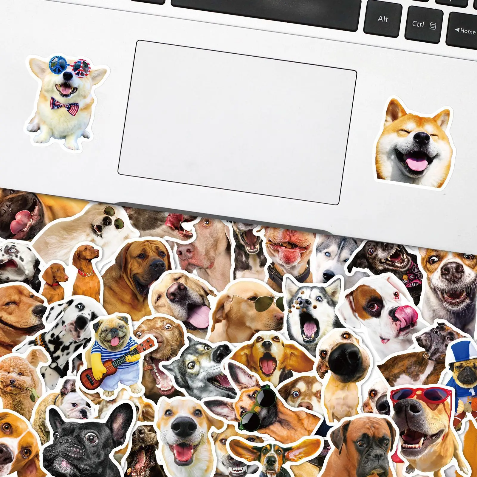 Cartoon Realistic Dog Pet Sticker, Graffiti iPad Capacete, Guitar Small Fresh Ins Wall Sticker, Decoração de brinquedos, Atacado, 10 Pcs, 30 Pcs, 50Pcs