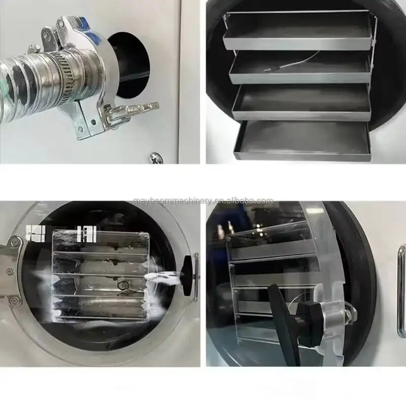 Lyophilisateur séchage de fruits et légumes, Machine de lyophilisation moyenne HFD-30 45kg lait viande fruits bonbons sous vide alimentaire Commercial