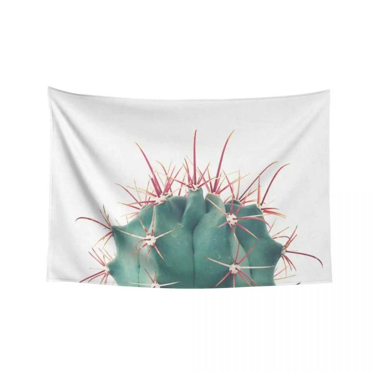 

Ferocactus Tapestry Christmas Decoration Living Room Decoration Home Decor Accessories Room Ornaments Tapestry