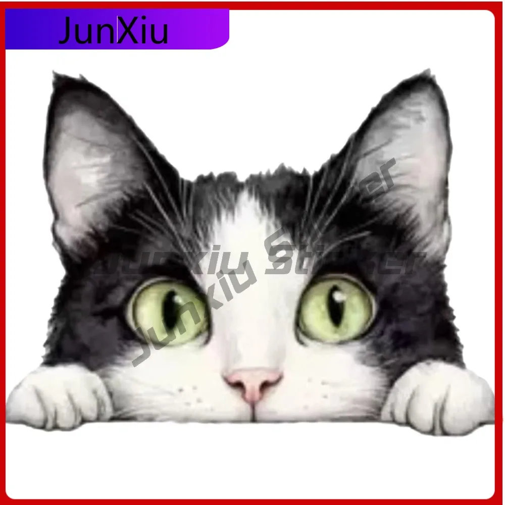 

Peeping Cat Car Anime Limited Waterproof Classic Bumper Decal Sticker Vinyl Laptop Window Auto Exterior Gift Decor
