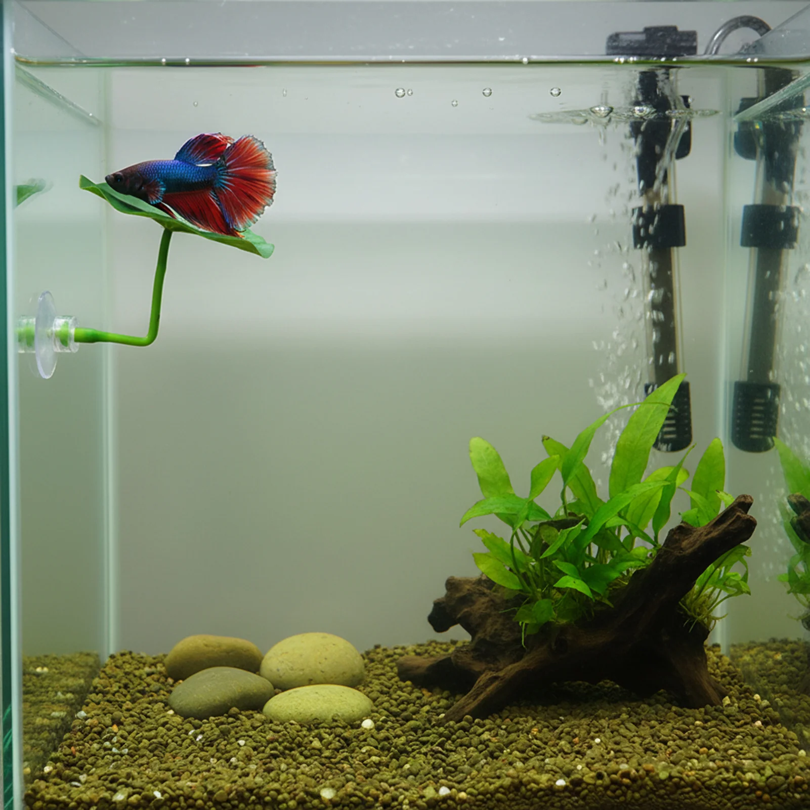 Aquarium Decoration Fish Resting Bed Natural Look Leaf Spawning Hideout for Fish Tank Accessories