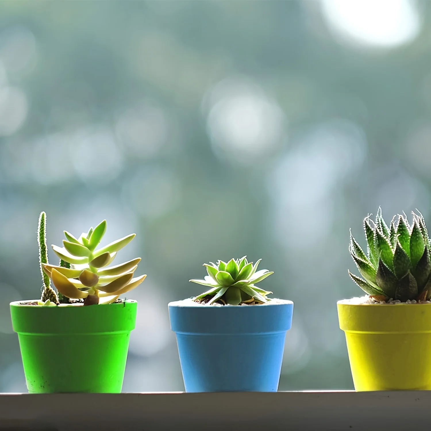 20set five-color art-deco style round plastic seedling pots suitable and shovel indoor outdoor gardening succulents vegetables