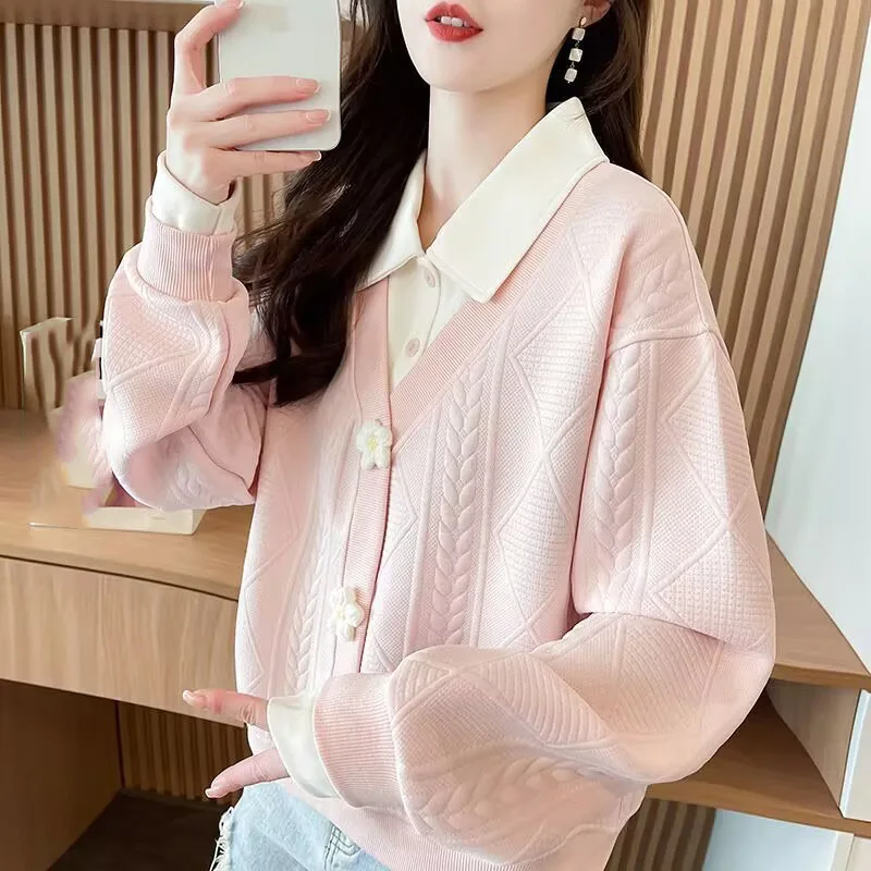 Ocio femenino agregar sudadera de terciopelo señoras coreanas nuevo Jersey suelto sudaderas Otoño Invierno mujeres sudaderas con capucha de manga larga