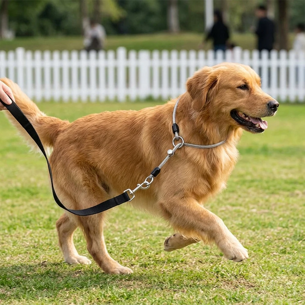 1PC Chew Proof Steel Wire Dog Collar Heavy Duty No Pull Slip P-Chain Coated Rope Loops For Medium Large Dogs Training Extensions