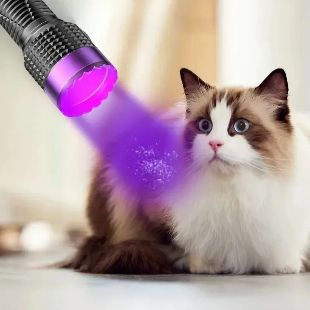 High Power 365nm UV Flashlight Rechargeable Waterproof Black Mirror Purple Light Torch Detector For Pet Urine Detection Scorpion