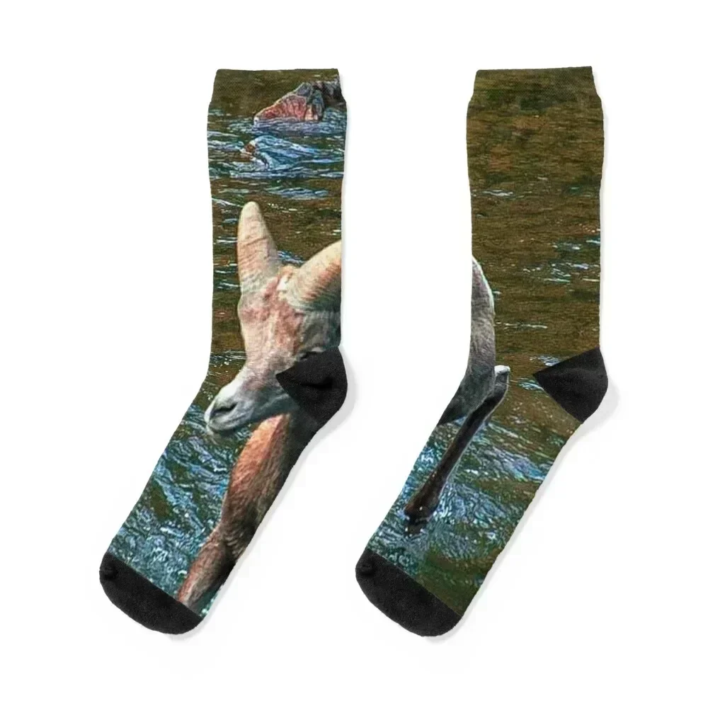 

Bighorn Sheep in River Socks Children's man football Boy Child Socks Women's