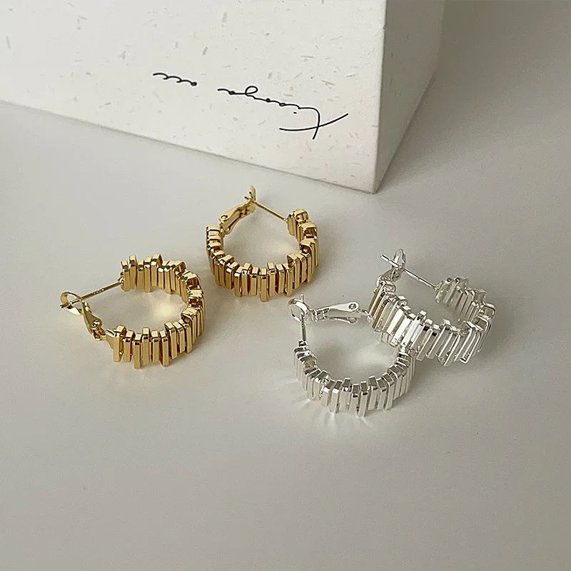 

Irregular Metal Line Hoop Earrings for Women Geometric Exquisite 925 Silver Needle Earrings Fashion Jewelry Accessories