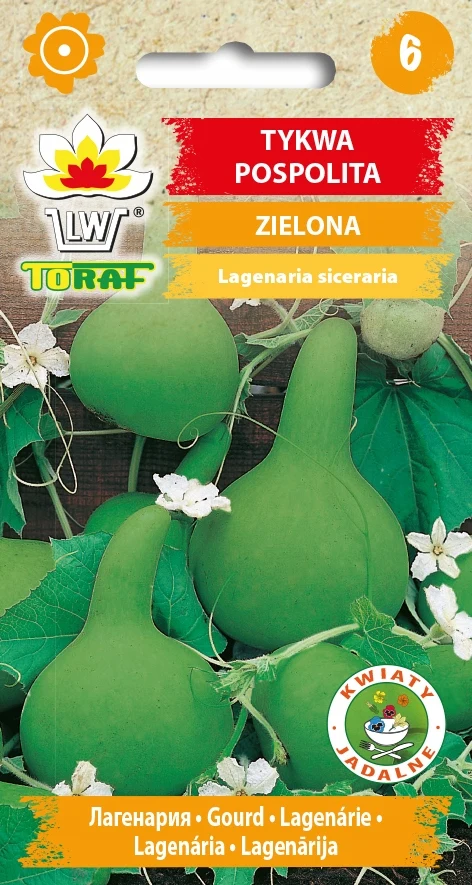 Gewone groene pompoen Bloemzaden-670 Toraf