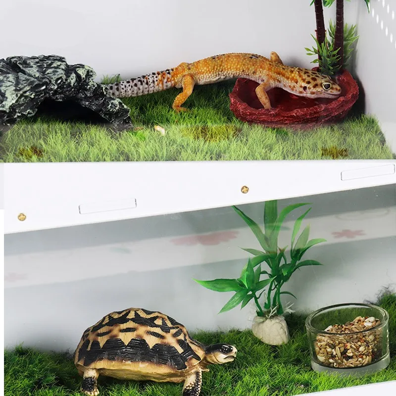 Żaba rogata jaszczurka pająk owad krab pustelnik żółw akwarium gad skorpion gekon Testudo elongata jeż inkubator skrzynka hodowlana — zdjęcie 3