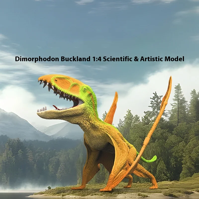 Figurka kolekcjonerska Dimorphodon Buckland 1:4, wersja naukowa i artystyczna, ozdoby, niespodzianka, prezent świąteczny dla przyjaciół.