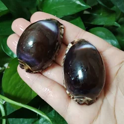 2 PC Mauritia Arabica Shells Purple Cowrie Seashell For DIY Crafts Snail Jewelry Gift Beach Wedding Decor 3CM-4CM
