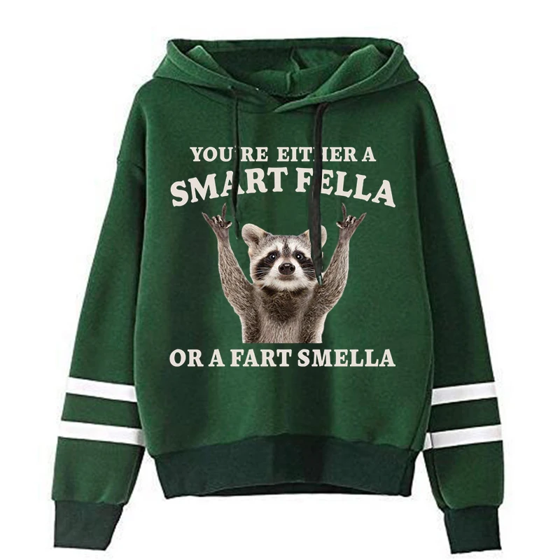 Funny Animal Print  Men Women Fashion Casual Hoodies Raccoon Sweater Rocking Raccoon Smart Fella or Fart Smella Classic Hoodie