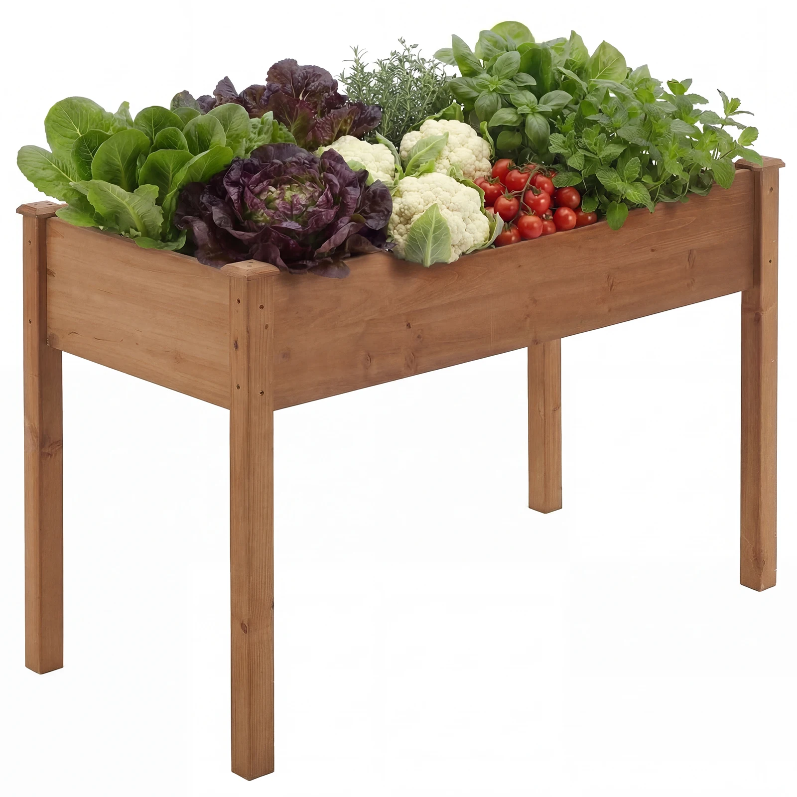garden bed dimensions