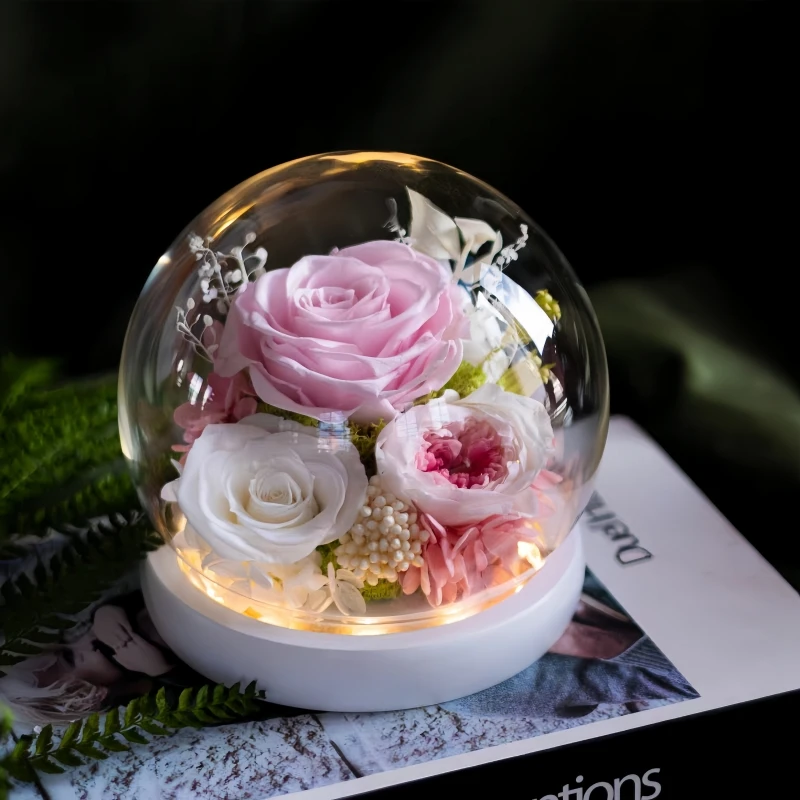 Round Shape Glass Dome Home Decor Big Size Diameter=23cm 25cm 30cm Luminous White Base Transparent Glass Cover Wedding Present