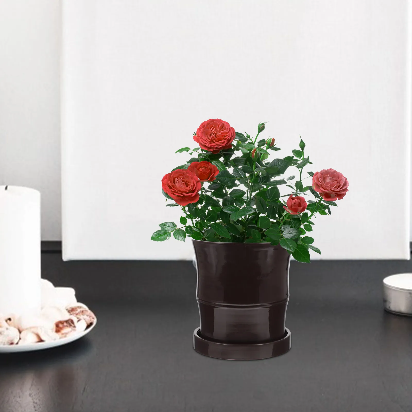Bamboo-Style Plastic Plant Pots with Drainage Holes for Succulents, Herbs, Indoor, Balcony & Office Decoration