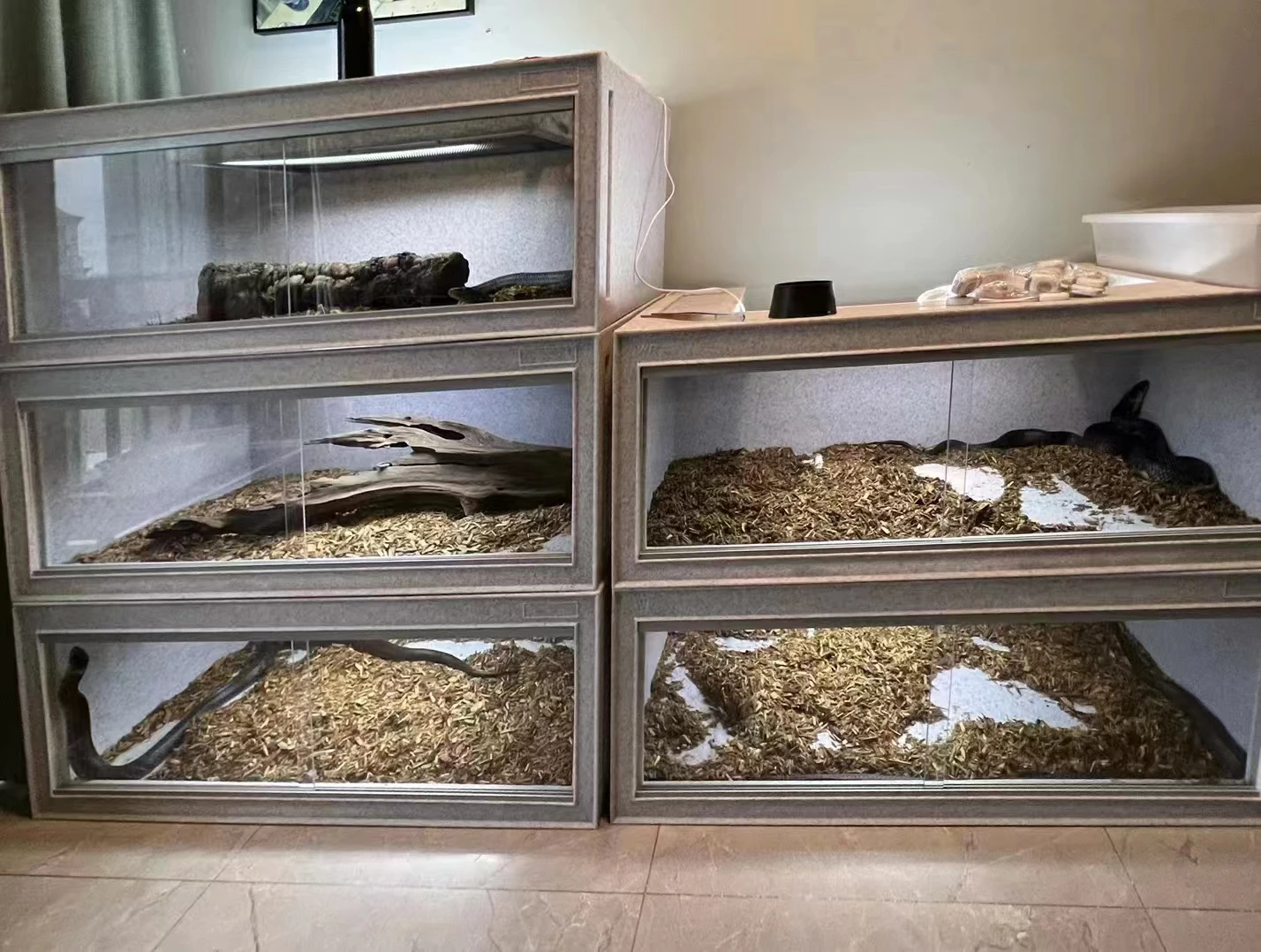120cm Snake Cage Reptile Terrarium with Belt Closure Made of Glass and Plastic Packed in Box with Plastic Tray