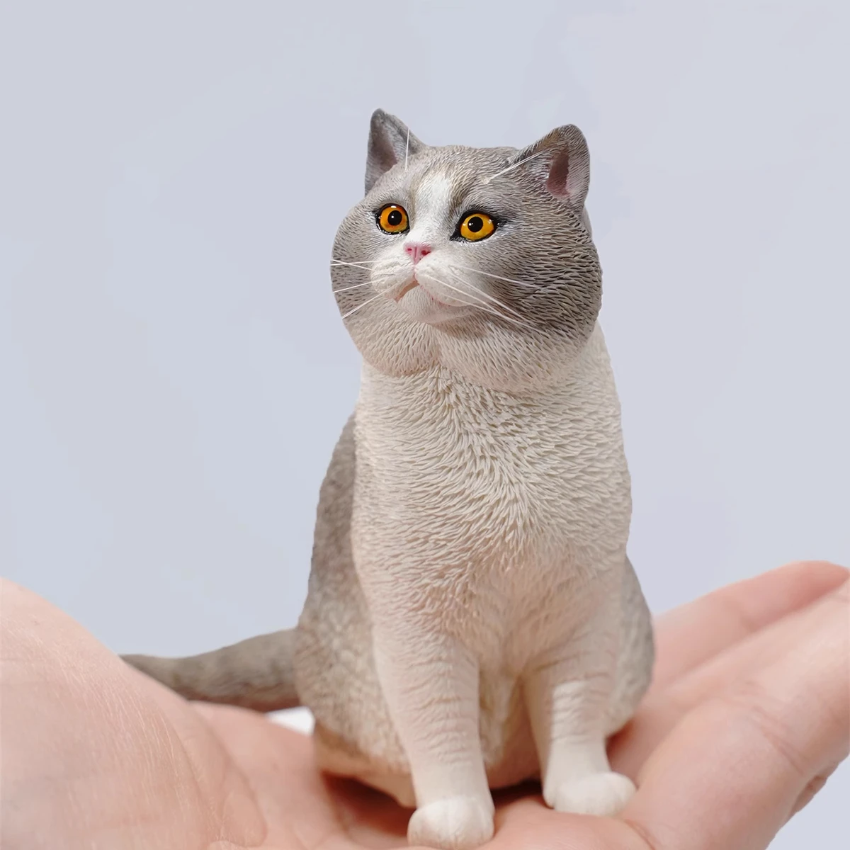 

JXK 1/6 масштабная имитационная модель RussianBlue Cat Pet орнамент для 12 дюймов фигурки скульптура фигурка игрушка из смолы