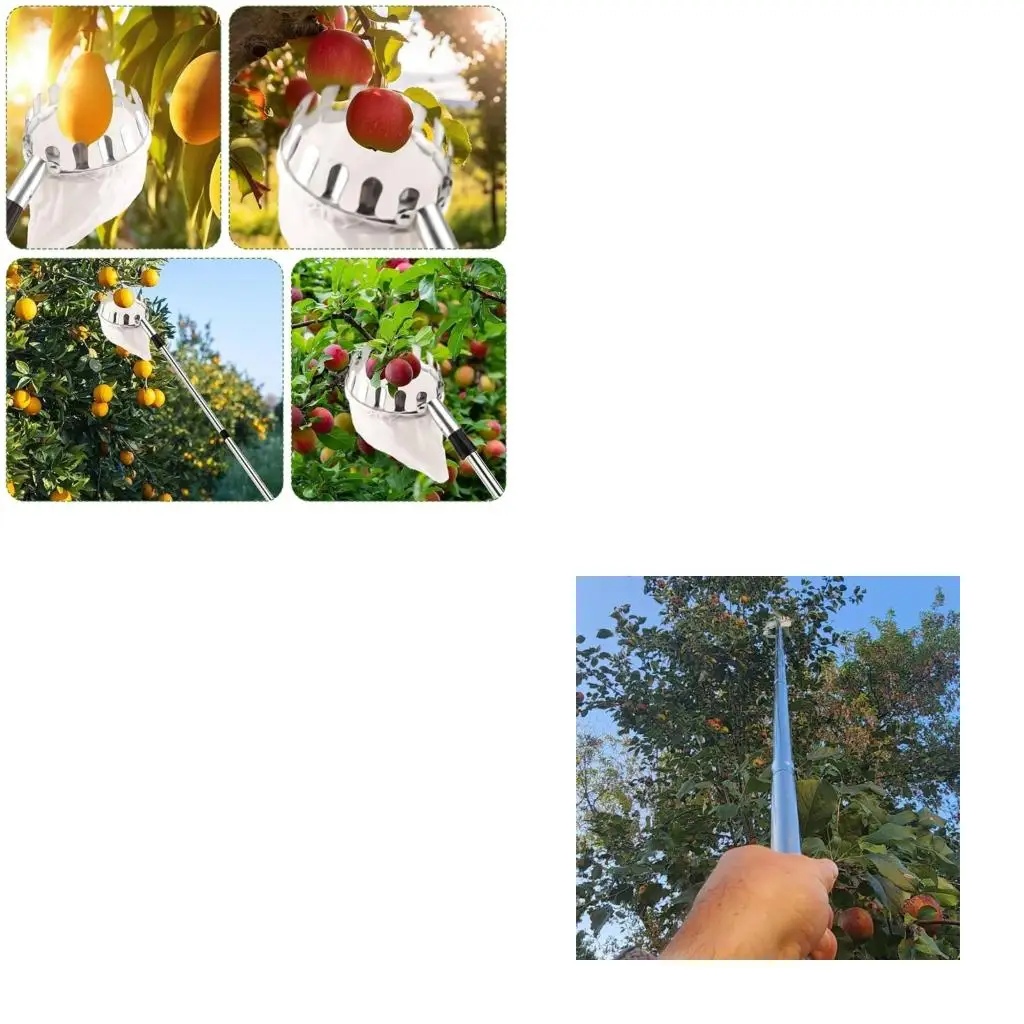 Ergonomic Gathering Device Extendable 13ft Handle Stainless Steel Head Garden Gathering