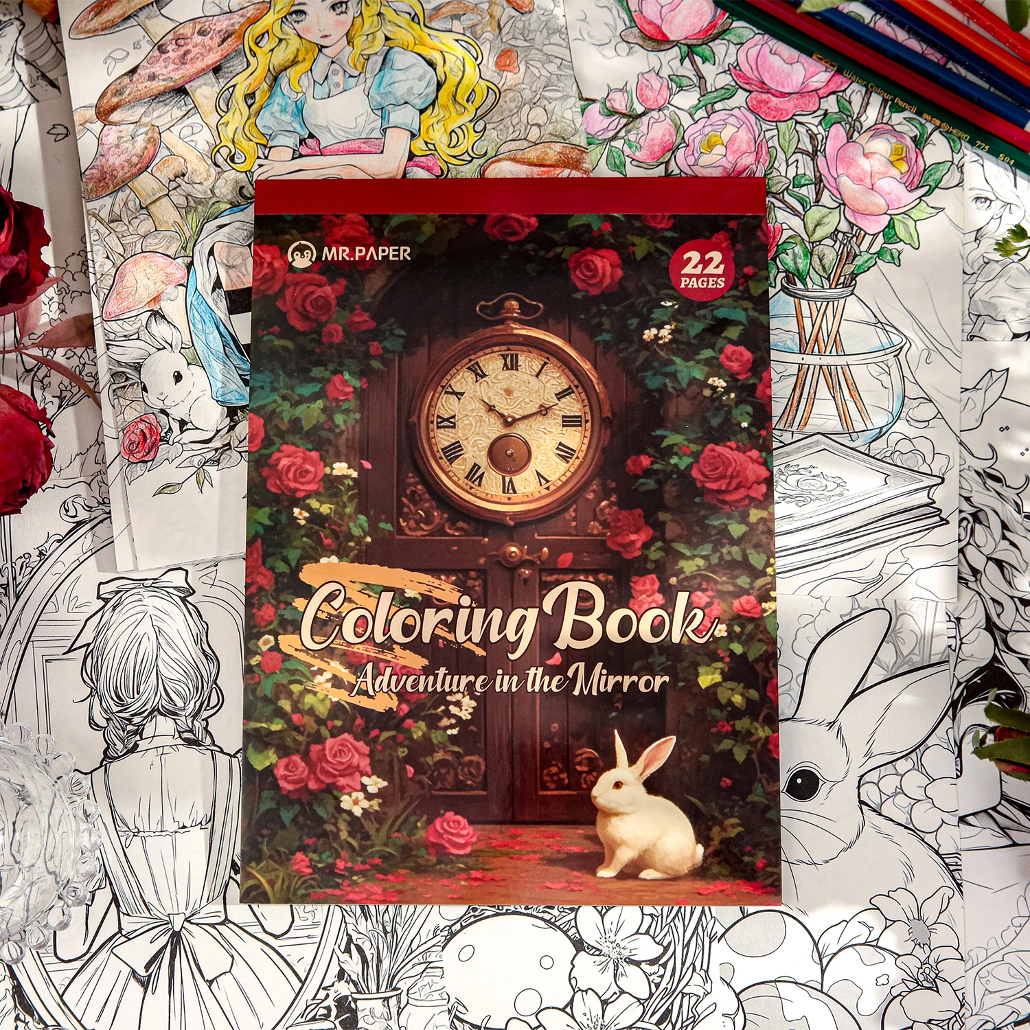Alice in Wonderland Coloring Book Adventure in the Mirror 22 Sheets Anti-Stress Drawing Book Adults Relaxation Art Gift