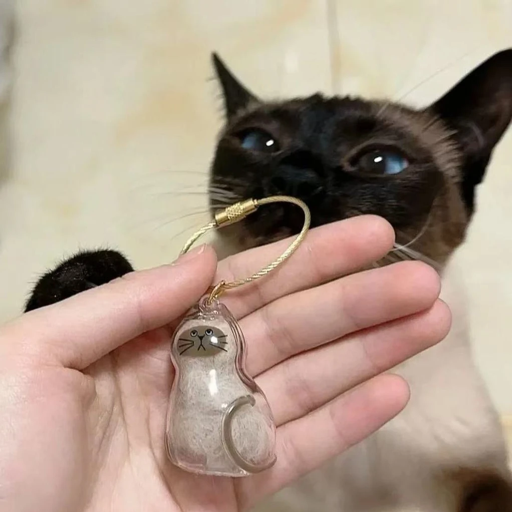 고양이 털 추모 참 레진 기념품 캡슐 애완동물 털 휴대용 열쇠고리 펜던트, 무지개 다리 펜던트 썸네일 5