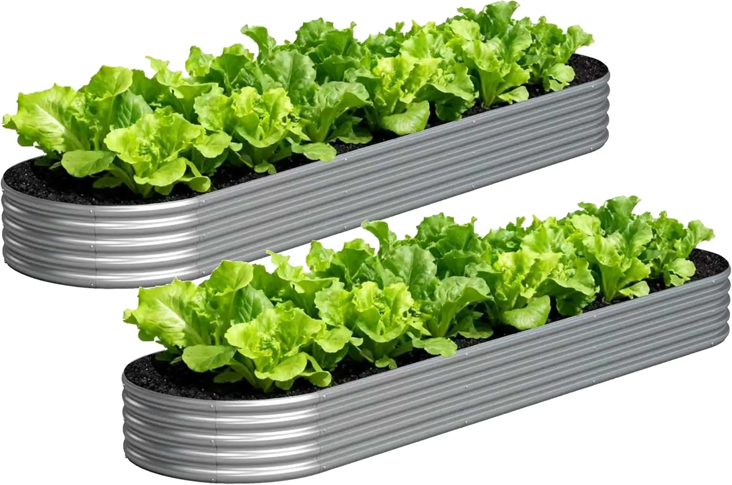 Galvanized Raised Garden Bed Outdoor, 12x2x1ft(2Pack) Metal Heavy Duty Planter Boxes for Gardening, Easy Assemble Bottomless Small Oval Plant Container Kit for Vegetable, Flower, Fruit, Silver