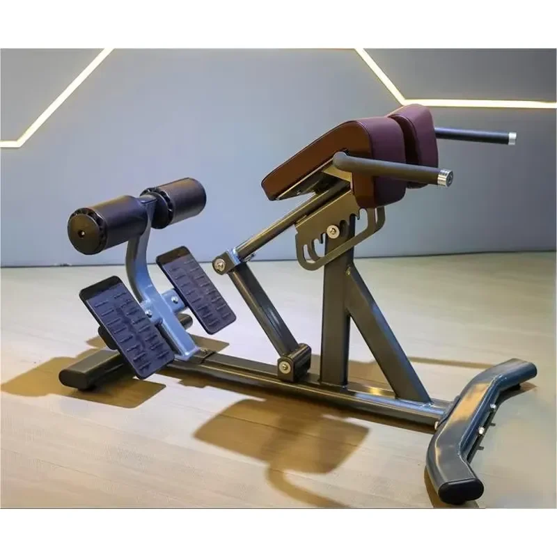Gym Fitness Equipment Developer Roman Chair Weight Bench Hips Trust Machine Back Extension