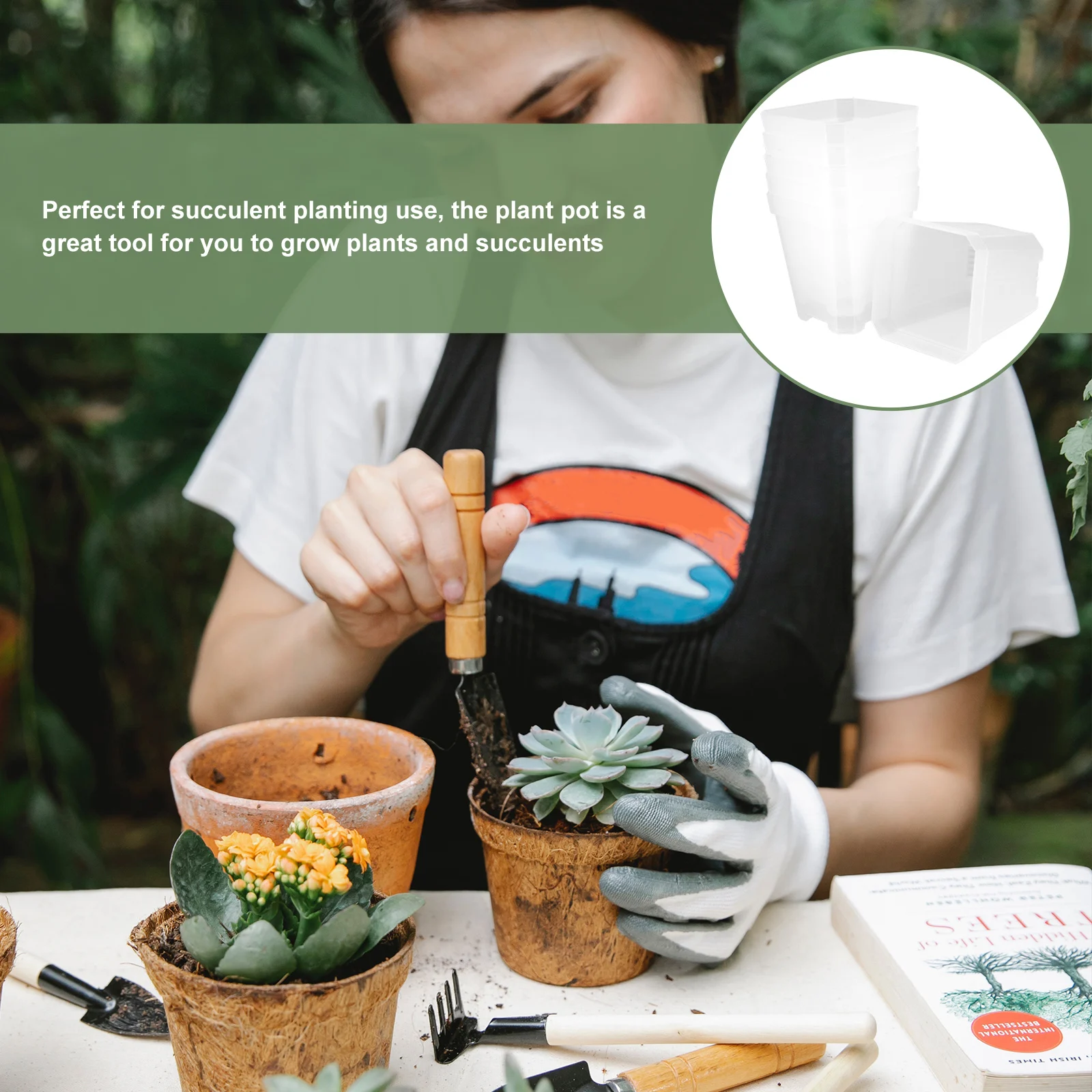 

24 Pcs Plant Pot Mini Plastic Planters Garden Flower Pots Clear Container Planting Succulent Bowl