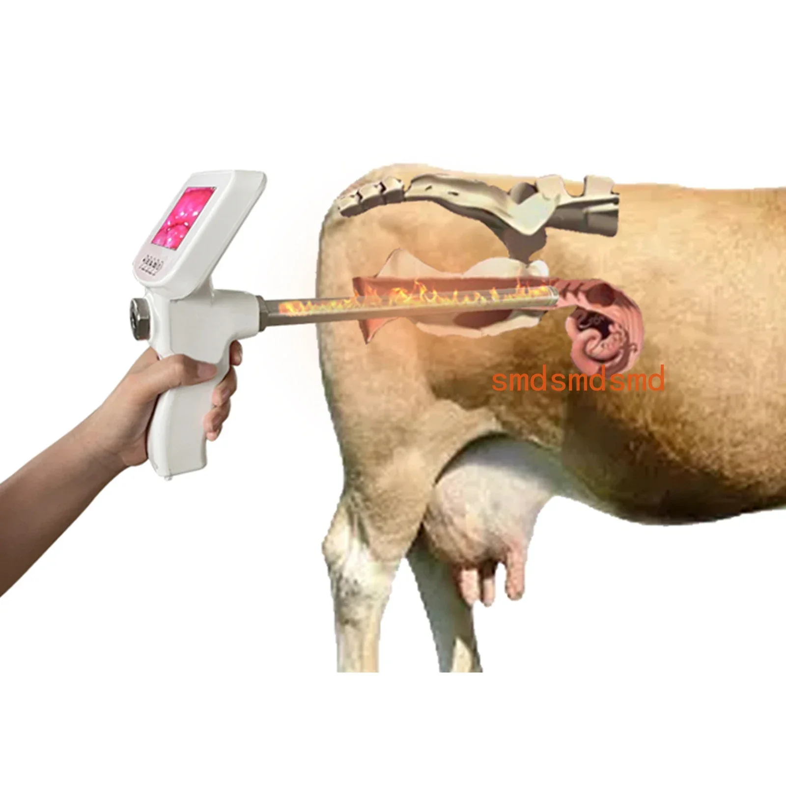 Cow Artificial Insemination Vision Endoscope Sperm Artificial Intelligence Gun Tool Veterinary Feeding Tools Horse Cattle Farm