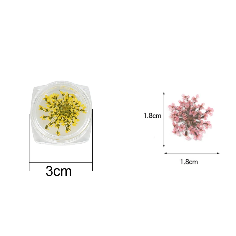 2 قطعة/صندوق لون عشوائي الطبيعية المجففة زهرة ليف الراتنج لوازم حشوات زهرة لمسمار سكرابوكينغ الديكور صنع المجوهرات
