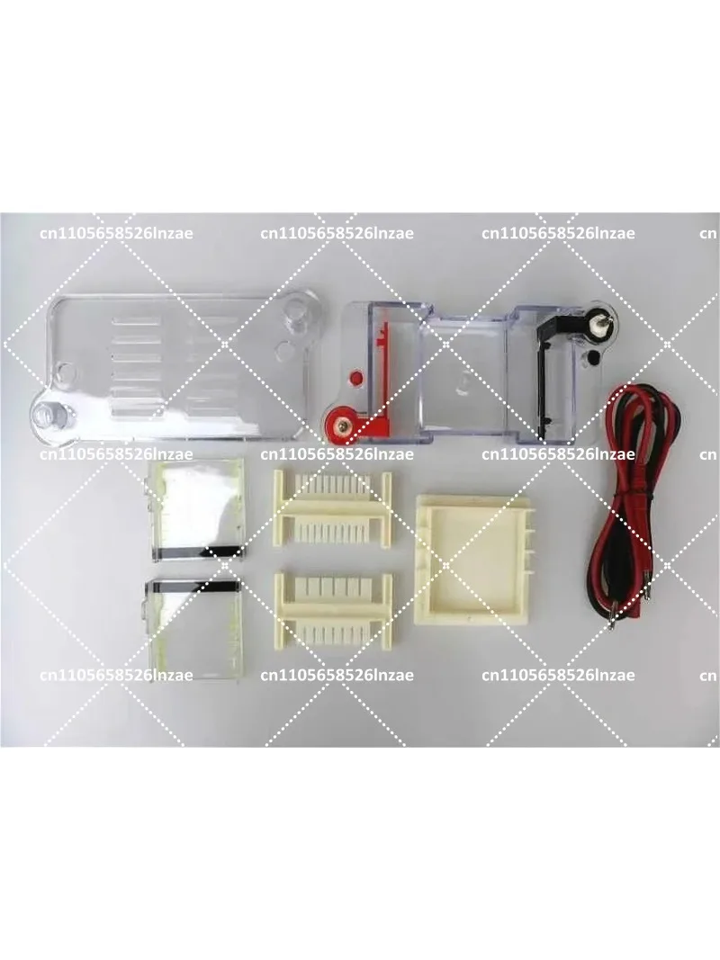 Horizontal Electrophoresis Tank Agarose Gel Electrophoresis System for Molecular Separation Biology Lab Teaching