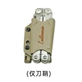 SURGE Sheath DE