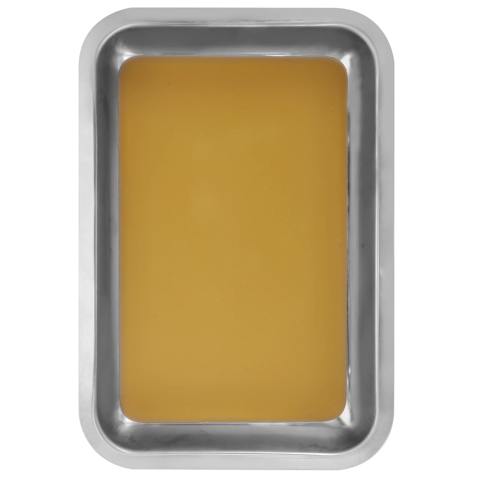 Wax Dissection Stainless Steel Polished Lab Biological Experiment Tool Dissection Tray Dissecting Plate Metal Wax Tray