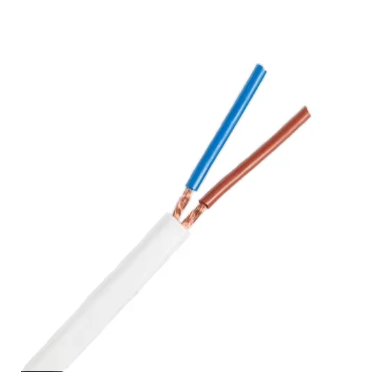 

300/500V 1.5mm 0.75mm RV BV Electrical Wires Single Core Cable