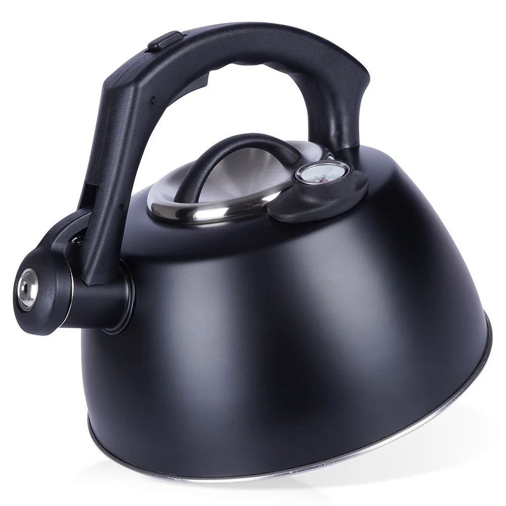 Zwarte Stalen Fluitketel Met 3 L Thermometer