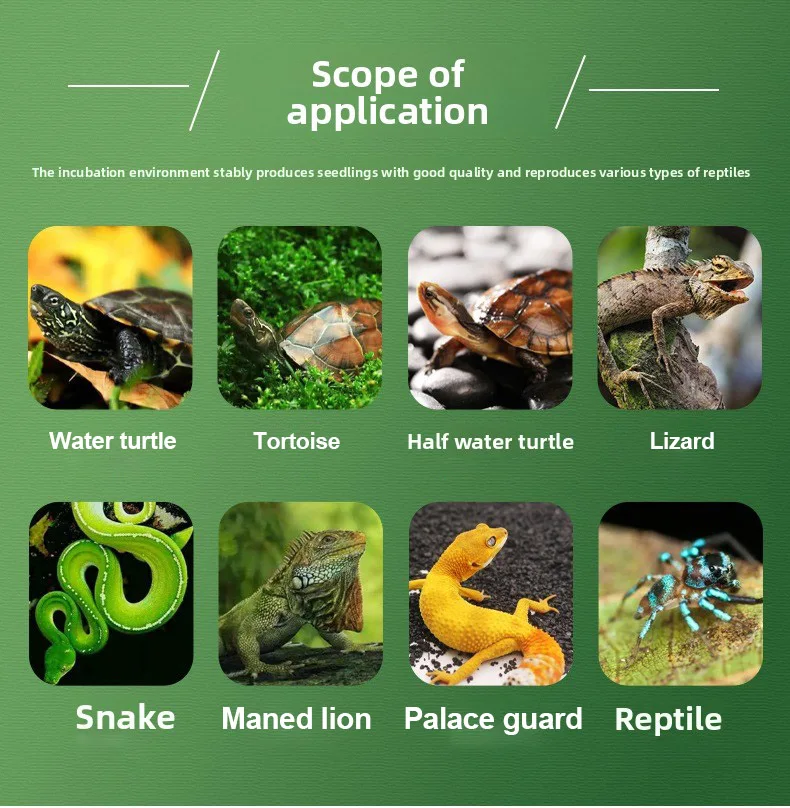 الجملة الزواحف الحيوانات الأليفة صندوق تفقيس ثعبان آلة تفقيس الزواحف درجة حرارة ثابتة السباة