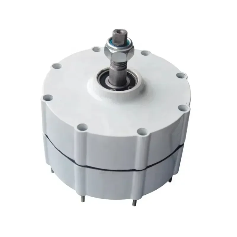 cross-border Low RPM low Torque 12v 24v 48v 100W 200W 300W 400W 500 W 600w permanent magnet generator also called alternator pmg