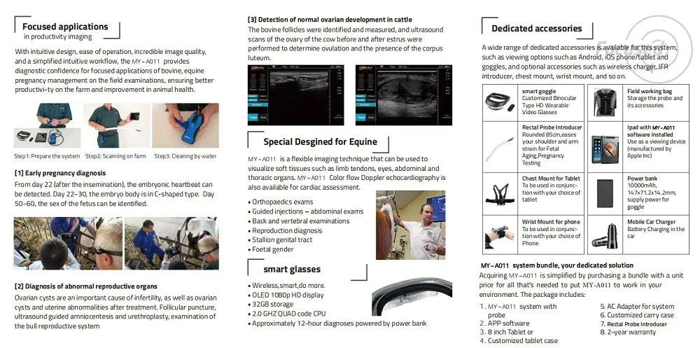أداة بيطرية للخيول البقري الطبي الاحترافية MY-A011 الأكثر مبيعًا مع مصنع بسعر منخفض