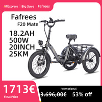 Fafrees F20 Mate Folding Electric Tricycle 500W 48V 18.2Ah Electric Trike Outdoor 20\