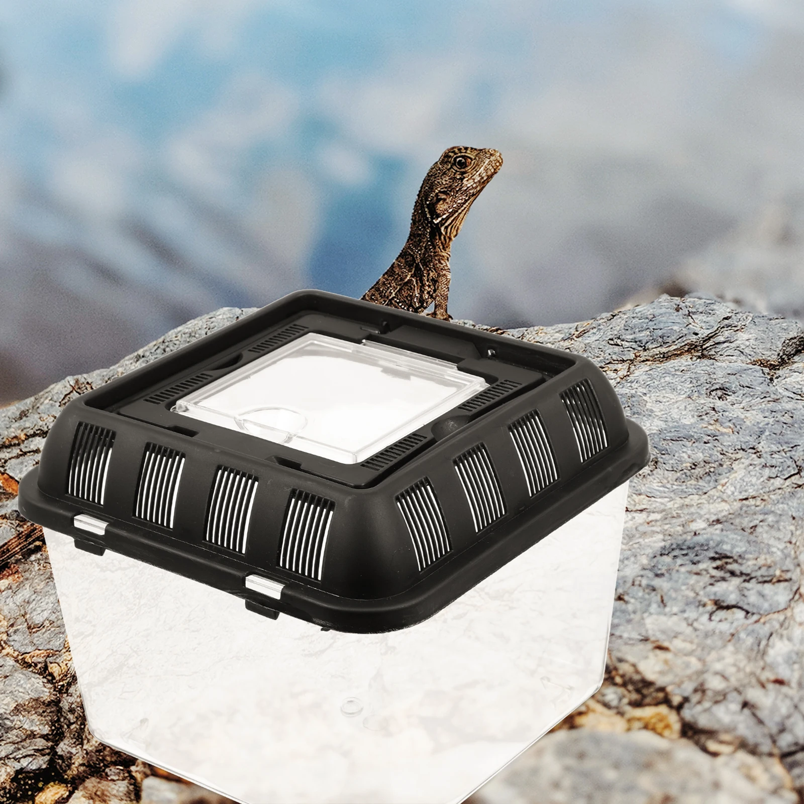 Reptile Pet Terrarium Feeding Boxes for Jumping Spiders Container Reptiles Breeding Plastic Snake