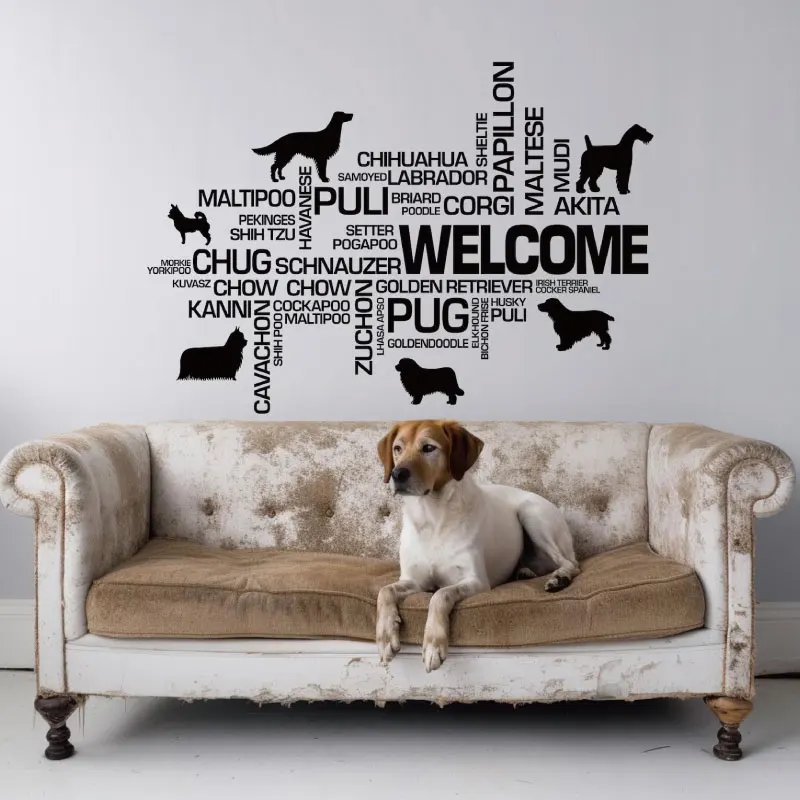 

Welcome Sign Dog Breeds Grooming Salon Business Wall Decal, Big Sticker for Pet Veterinary Clinic, Pet Shop Welcome Murals Q176