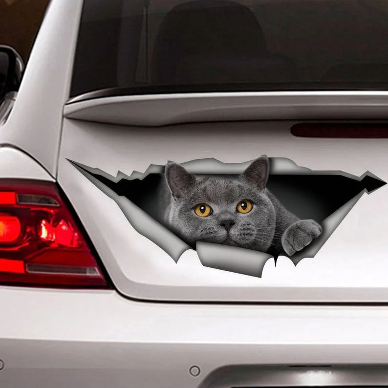 

British Shorthair decal, gray cat car decal, funny sticker, cat car sticker